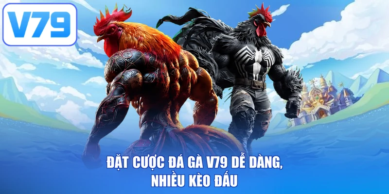 Đặt cược đá gà V79 dễ dàng, nhiều kèo đấu