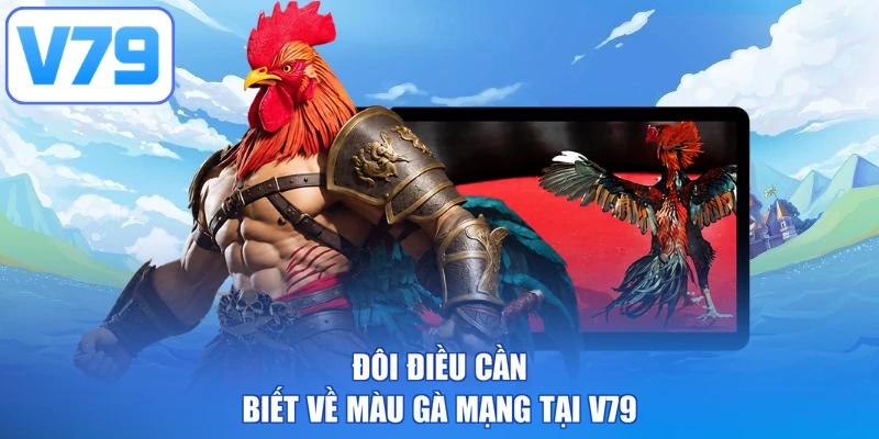 Đôi điều cần biết về màu gà mạng tại V79